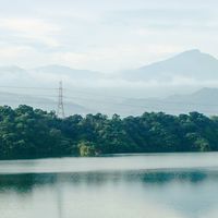 我是寶山人