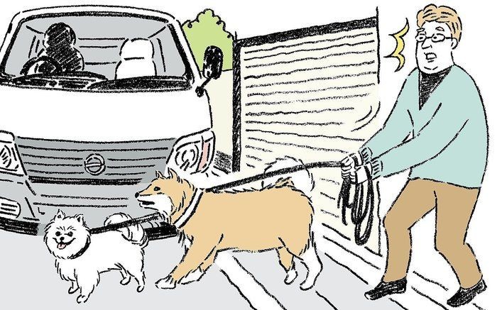 丁字路に侵入してきた貨物用自動車に 愛犬がひかれて いぬのきもちnews