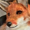 擬真獸頭 獸裝交流群