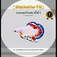 Richbetta_TH🐠