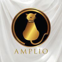 ทดลอง กลุ่ม amplio