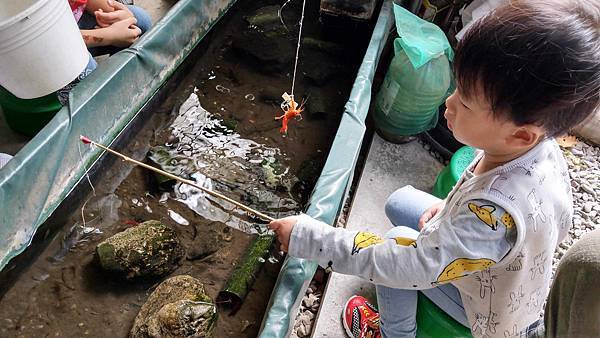 【台北景點】五股準園休閒生態農場-可以餵小動物、釣小龍蝦、看動物的好玩親子景點