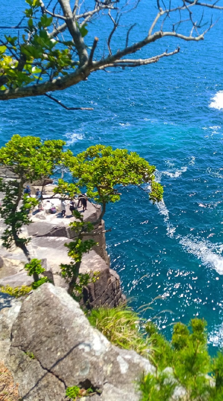 鈴鹿山脈登りませんか？（愛知県　三重県　岐阜県の低山も）☀　登山　東海　中部　初心者歓迎！！！