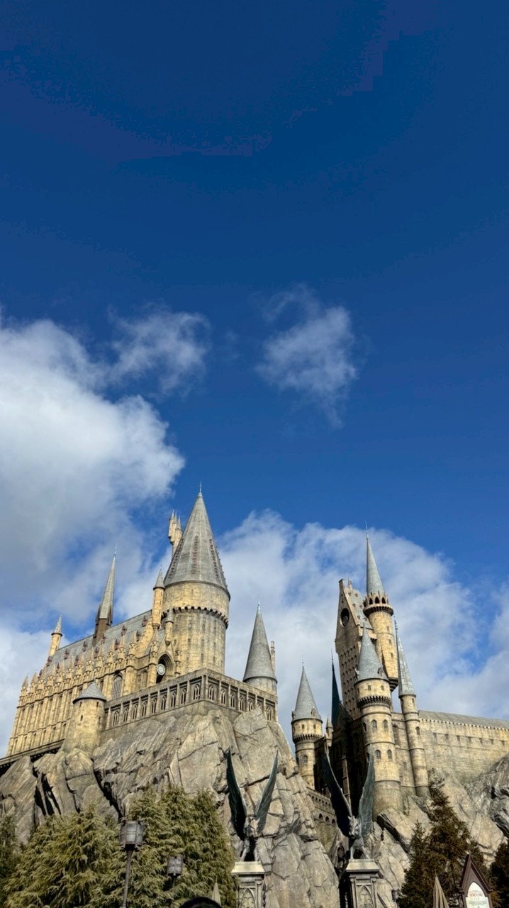 26.01.29 🇯🇵關西旅遊6日