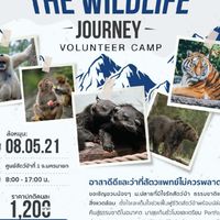 ตามติดชีวิตสัตว์ป่ากับค่ายอาสาสะ-เฟียร์