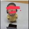ππ族