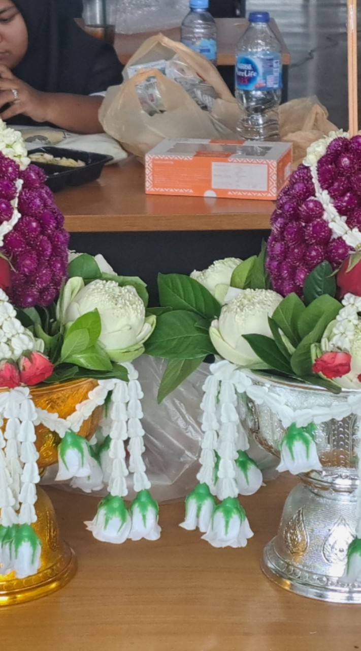 DMT1