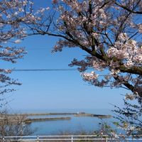 橋立海青学園　出航を祝う会