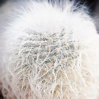SUNCACTUSGARDEN