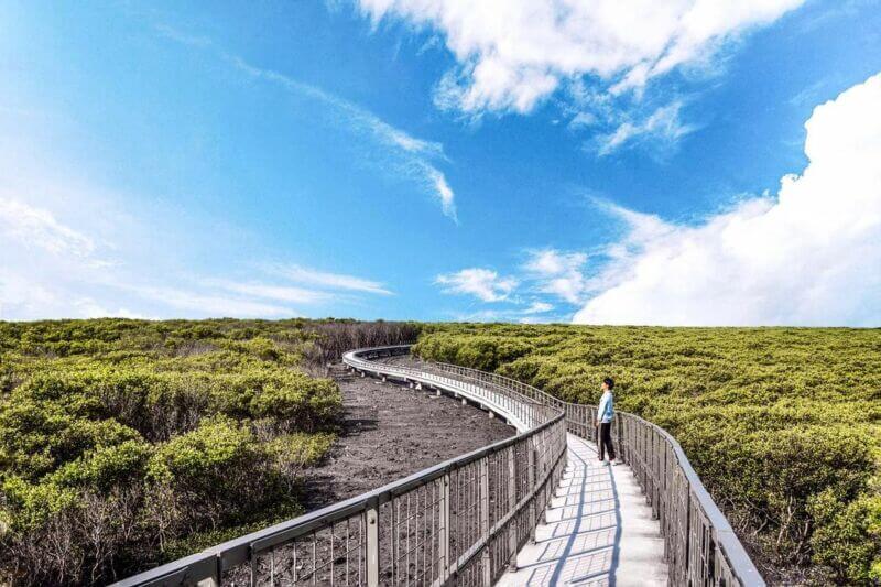 彰化芳苑濕地海空步道