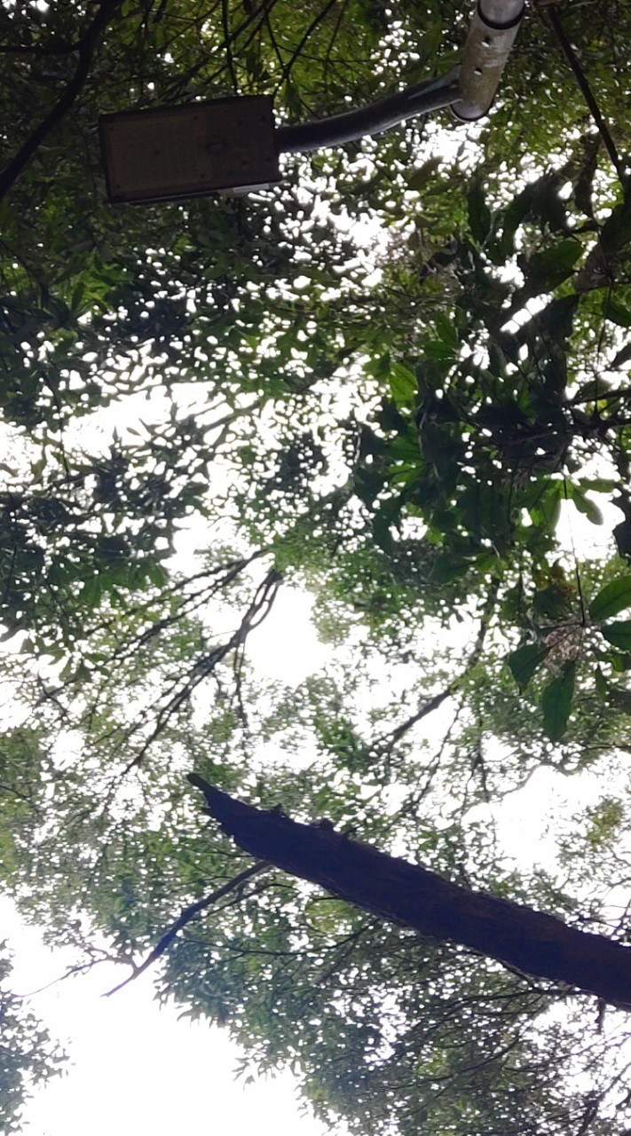 miao  空空蕩蕩的覺察