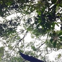 miao  空空蕩蕩的覺察