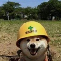 柴柴同好會