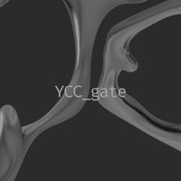Gate_Ycc［分析交流群］