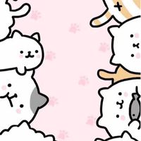 คุยเรื่องหมาแมว