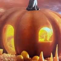 【怒りワーク】フォローの会🎃🍭