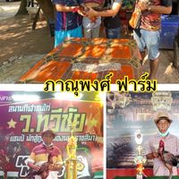 ภาณุพงศ์ ฟาร์ม