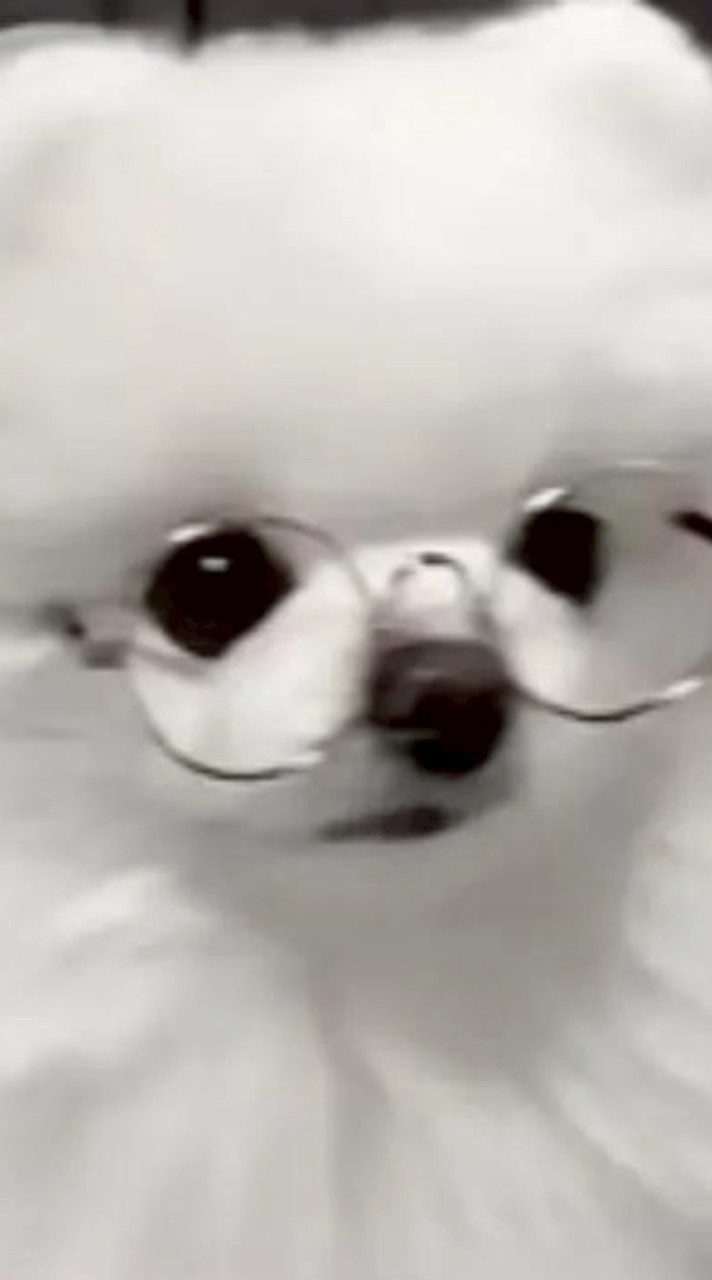 雑談