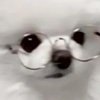 雑談