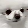 雑談
