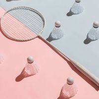 🏸 TeeBad 🏸