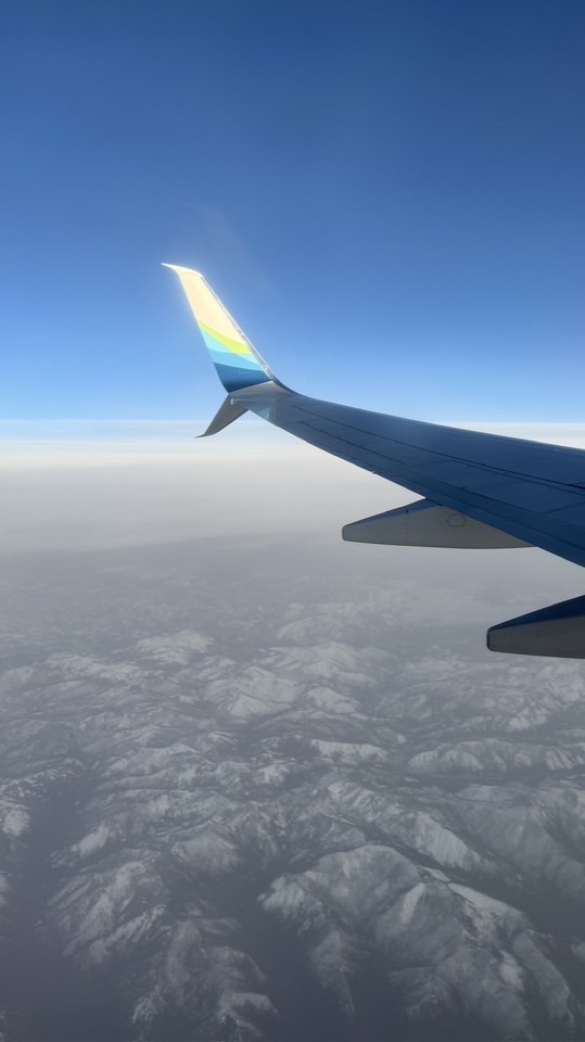 吃喝玩樂就找Yui帶你周遊列國✈️