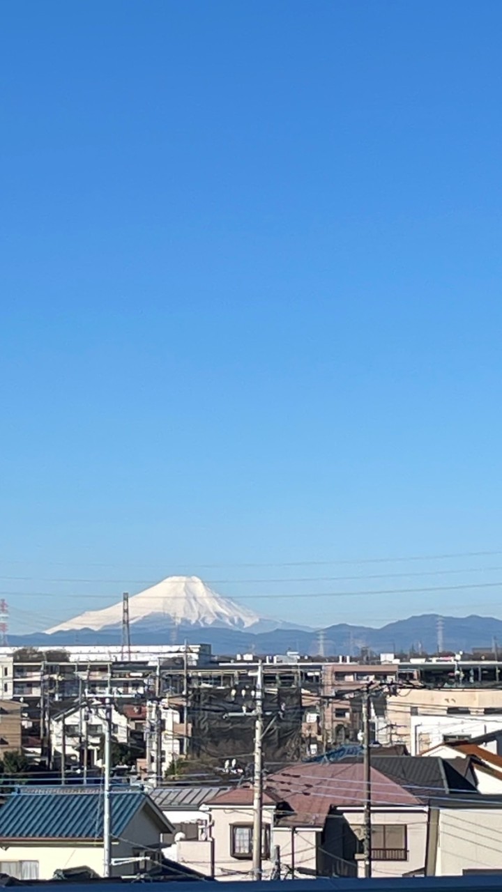 智綾