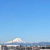 智綾