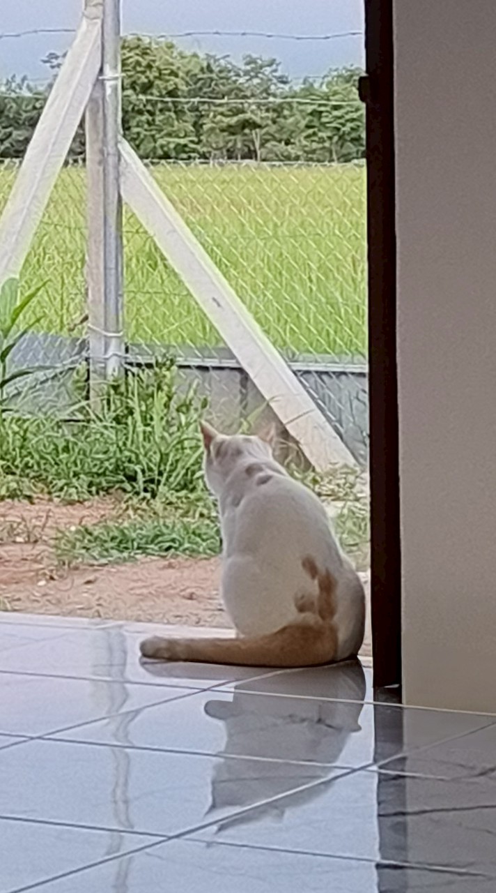 ส่วนตัวเจ้ย