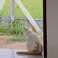 ส่วนตัวเจ้ย