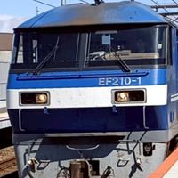 しょちんと話せる部屋
