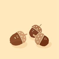 松鼠日本團購代運🐿️
