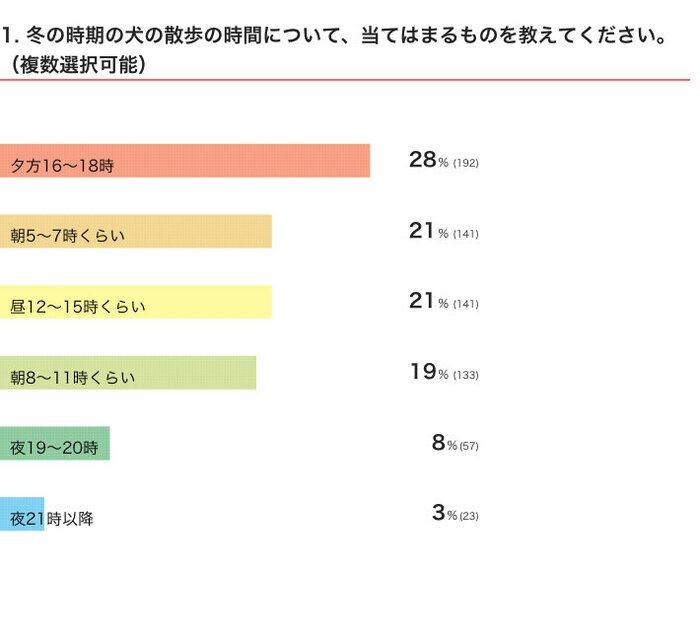 犬の散歩は何時頃 早朝 深夜に散歩をする際の注意点