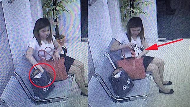 Maria mencuri ponsel Christine (Facebook/Christine Dapiton)   Artikel ini telah tayang di Tribunstyle.com dengan judul Cewek Kehilangan Ponsel, Awalnya Tak Curiga, tapi Saat Lihat CCTV Ia Kaget Tahu Siapa Pelakunya, http://style.tribunnews.com/2018/04/19/cewek-kehilangan-ponsel-awalnya-tak-curiga-tapi-saat-lihat-cctv-ia-kaget-tahu-siapa-pelakunya?page=2. Penulis: Anggraini Wulan Prasasti  Editor: Anggraini Wulan Prasasti