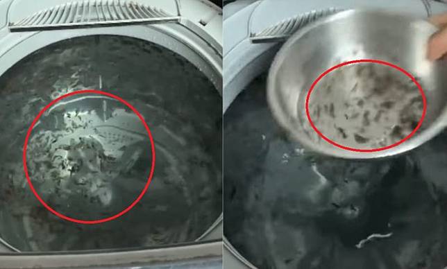 ▲洗衣機（圖／翻攝爆系知識家）