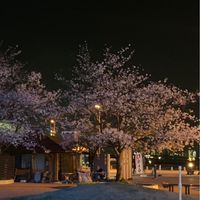 ファイナンシャルプランナーについて話そう
