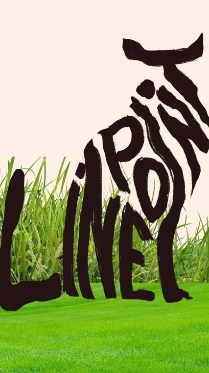 ลายพ้อย Linepoint