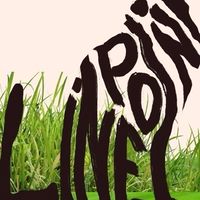 ลายพ้อย Linepoint