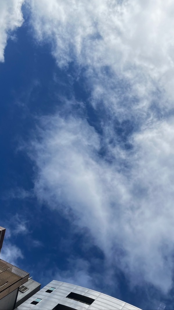 自己的工作資料存檔