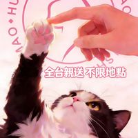 會上癮的貓｜Elite 家長圈