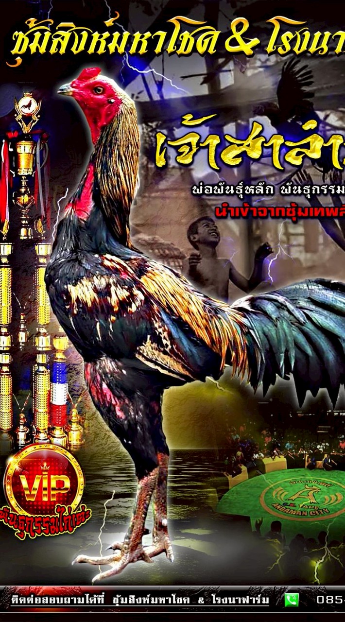 ซุ้มสิงห์มหาโชค