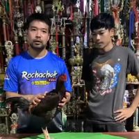 ซุ้ม..ราชสีห์JRK ปทุมธานี