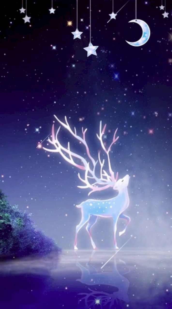 °. ⑅♡⑅ °𝓚-𝓹𝓸𝓹 𝓦𝓸𝓻𝓵𝓭⊰⑅♡⑅ °聊天 | 處關係  | 潛水 | 有宣拐時間~🦋