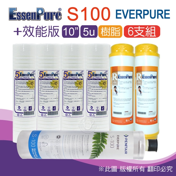 【水蘋果快速到貨】Everpure 美國原廠平行輸入S100 濾心+ 效能版10英吋前置濾心6支組 ( 溝槽5u+樹脂)