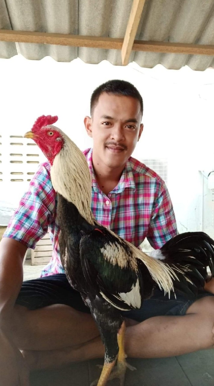 ซุ้ม ส.สายทองเพชรบุรี-ไก่ชนVIP