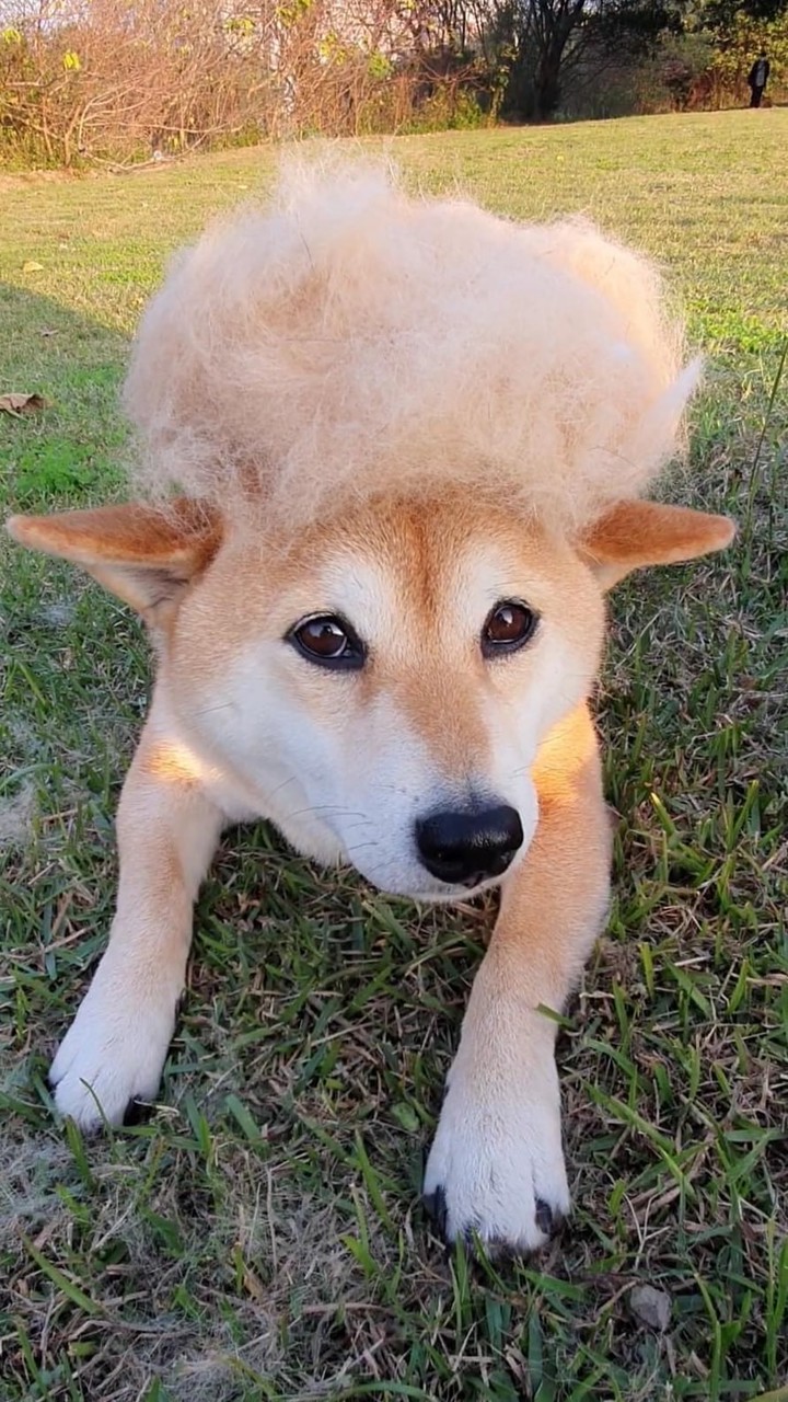 嘿嘿嘿小鎮