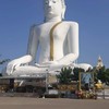 จิตวิทยาเทรด
