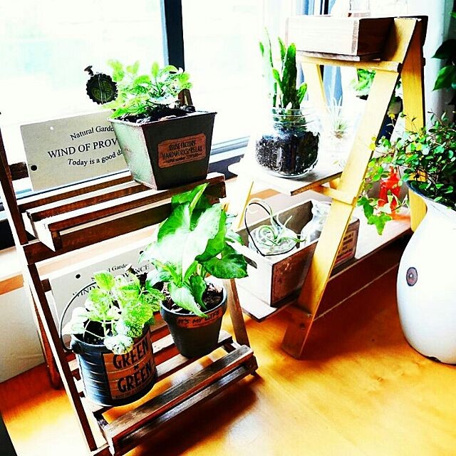 自然体の心地よい暮らしが叶う ニトリで作るボヘミアンスタイル