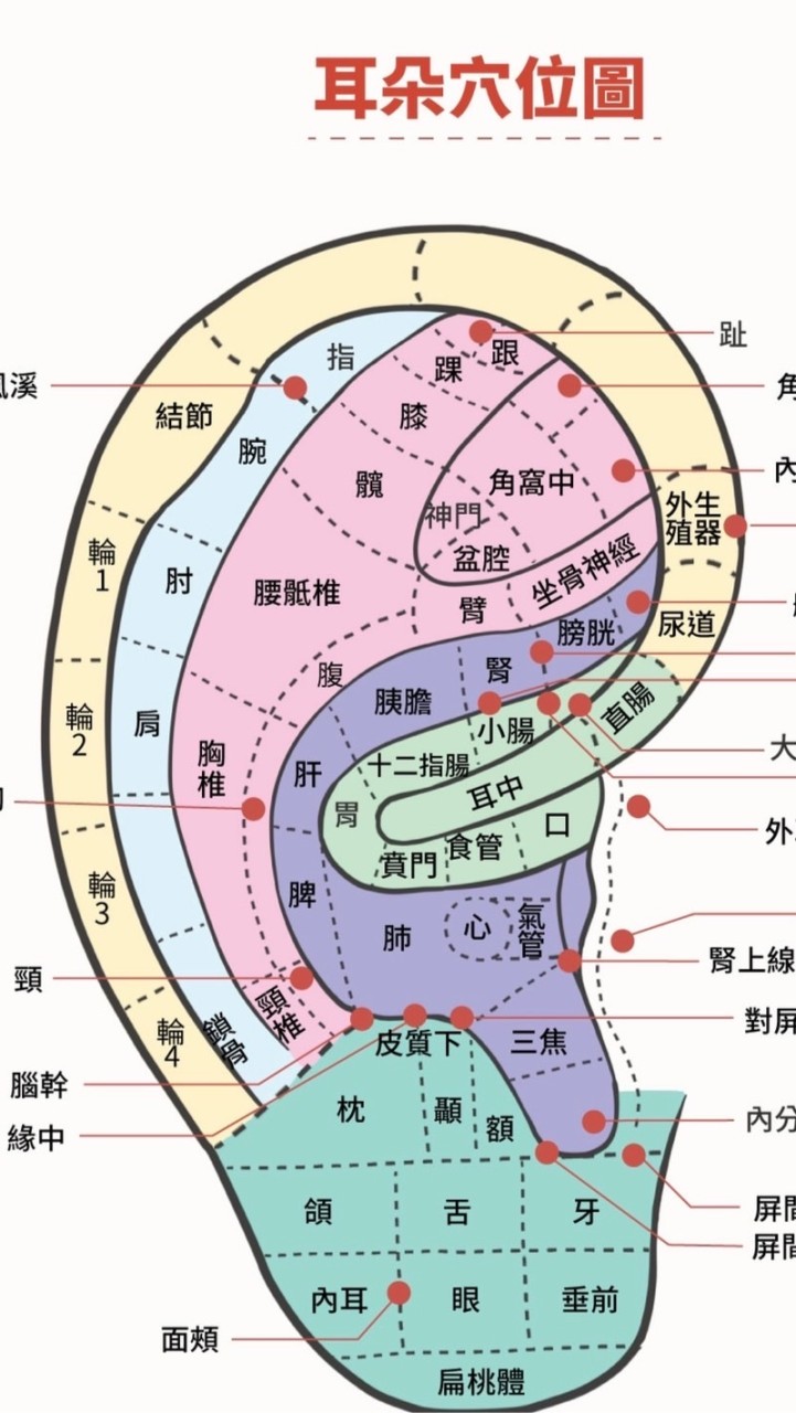 耳耳相傳貼壓保健