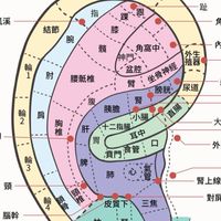 耳耳相傳貼壓保健
